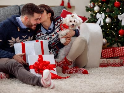 Happy couple opening gifts under the Christmas tree taking a new puppy out of a gift wrapped box
