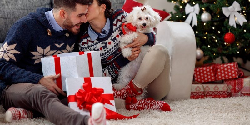 Happy couple opening gifts under the Christmas tree taking a new puppy out of a gift wrapped box