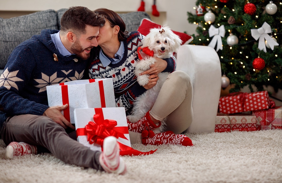 Happy couple opening gifts under the Christmas tree taking a new puppy out of a gift wrapped box