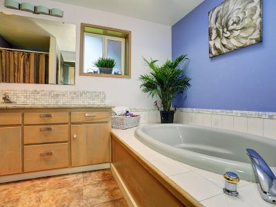 Simple and summery blue bathroom interior with tile trim bath tub and decorative plant pots