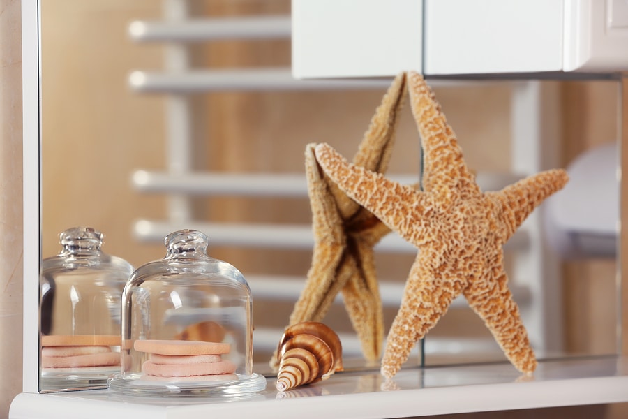 Sponges and starfish on a shelf in bathroom