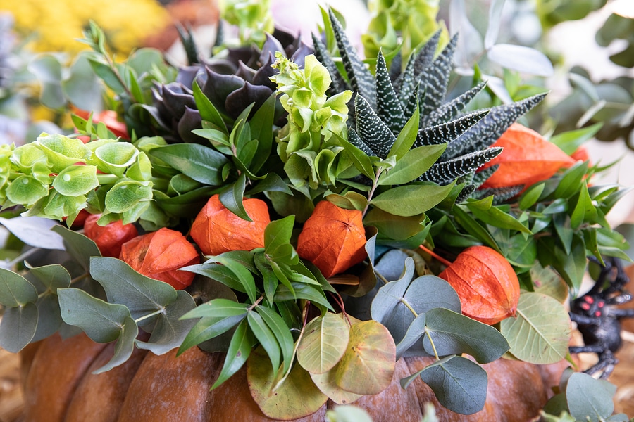 Autumn arrangement of physalis, succulents, eucalyptus and other plants in pumpkin at the greek garden shop in October.