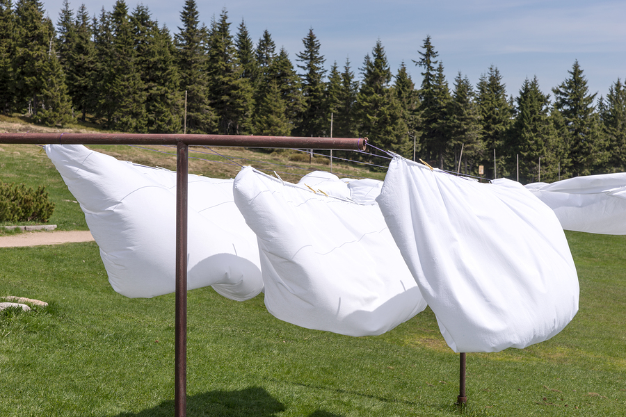 Bed sheet drying in the wind with forest in the background