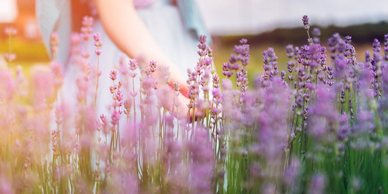 Girl's profile in a field of organic flowers symbolizing spring